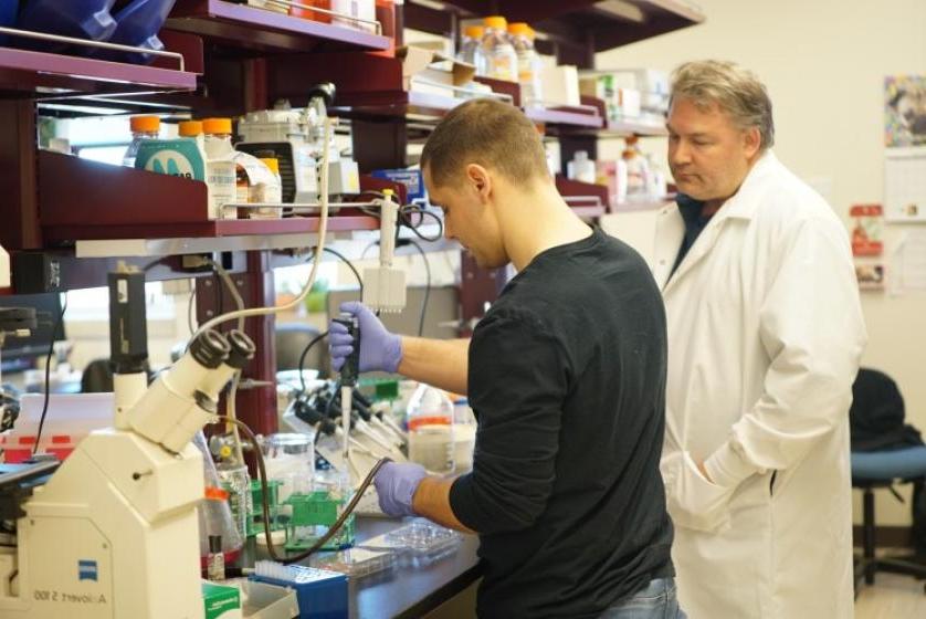 Dan Linseman works with 托德Savolt in his lab.