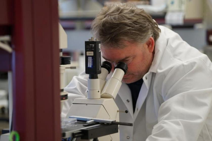 Dan Linseman works with undergraduate students in his lab.